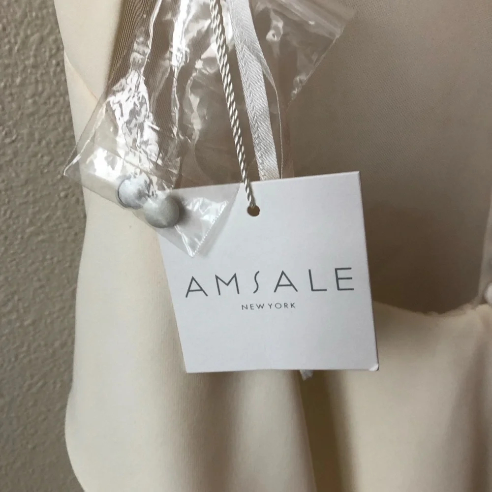 Amsale Demi Silk Crepe Sheer Back Button Ivory Wedding Gown in Size 14 - Picture 9 of 10